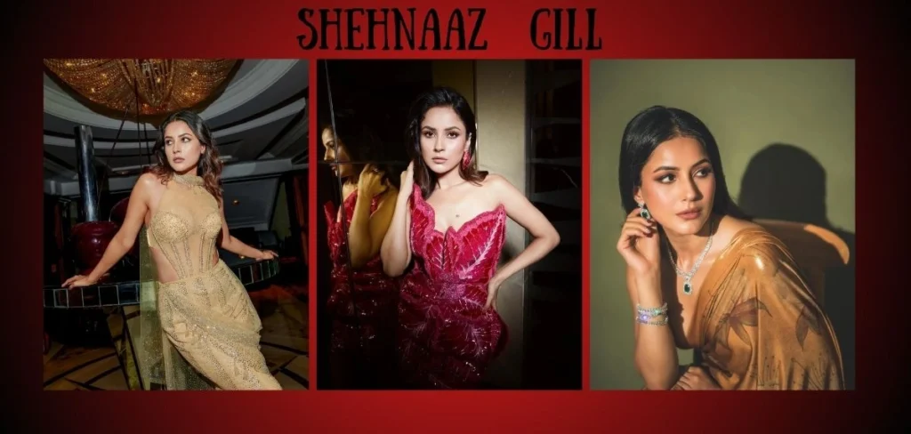 Shehnaaz Gill Net Worth